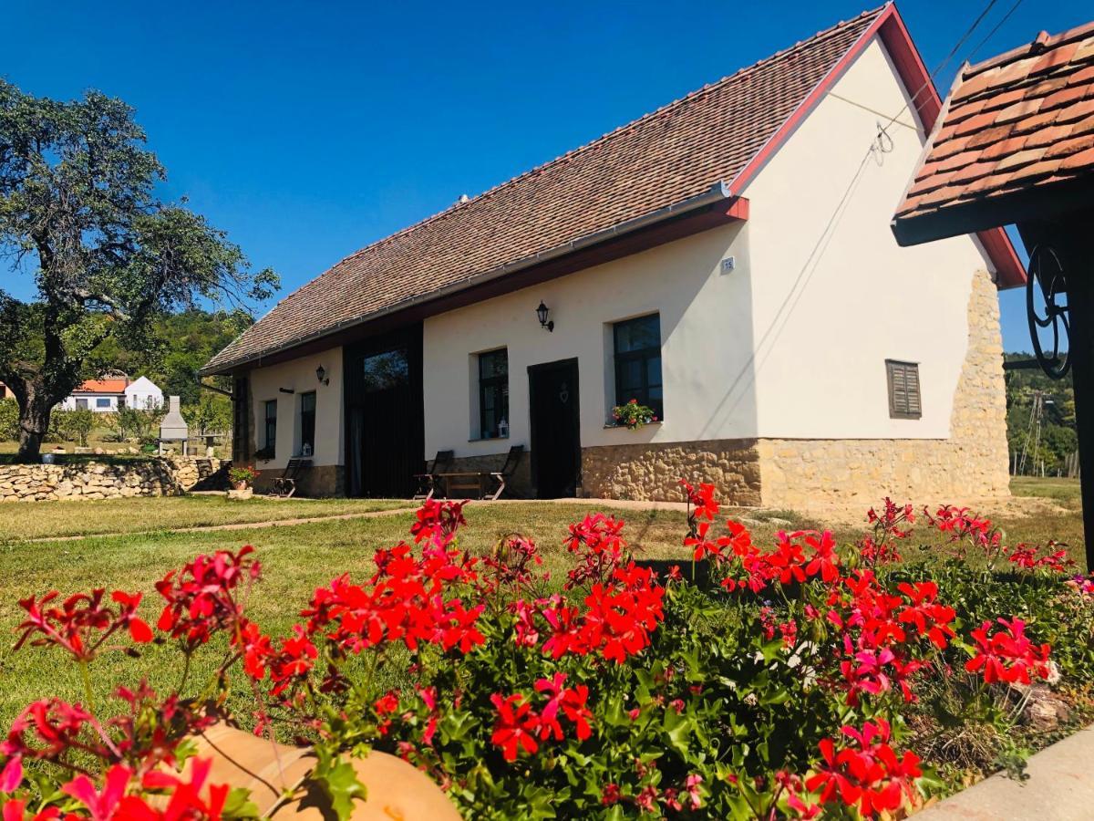Edenkert Vendeghazak Hotell Pécsvárad Exteriör bild