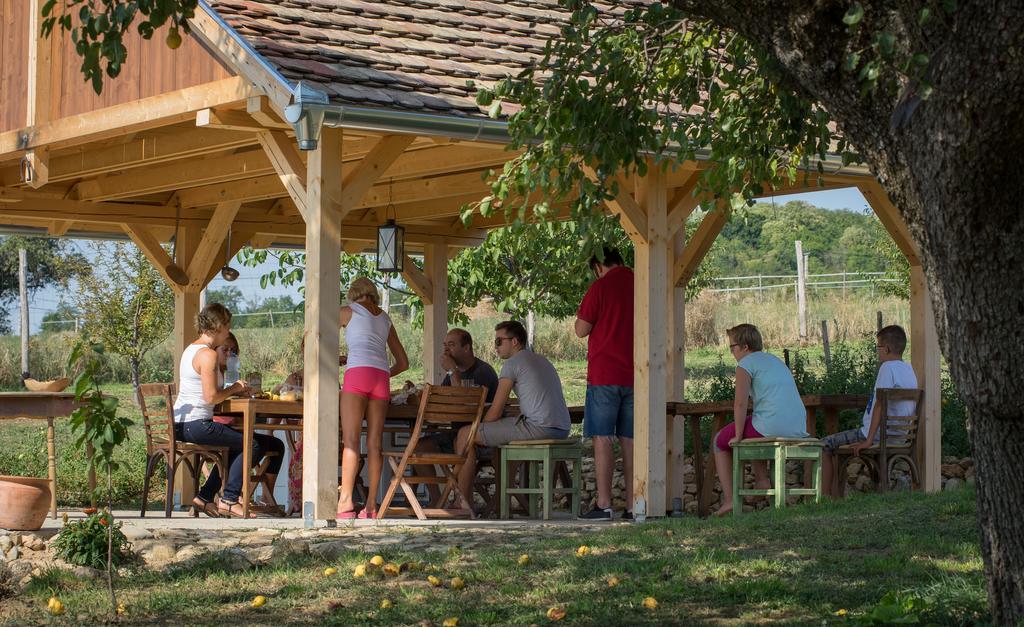 Edenkert Vendeghazak Hotell Pécsvárad Exteriör bild