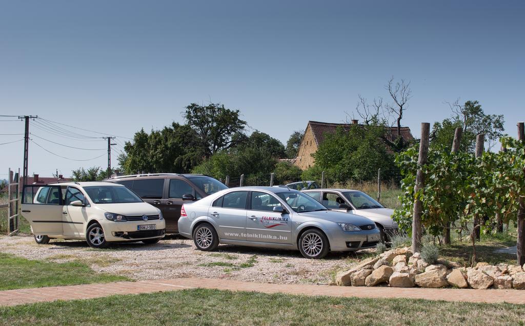 Edenkert Vendeghazak Hotell Pécsvárad Exteriör bild